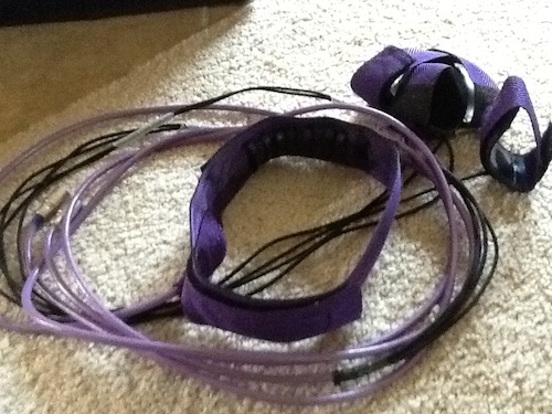 The Indigo head harness and wrist/ankle straps