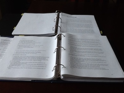 ?Indigo Beginners and Advanced Training Manuals