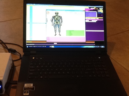 A screenshot of the Indigo software in action