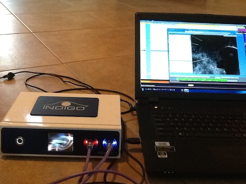 Another screenshot of the Indigo and software in action